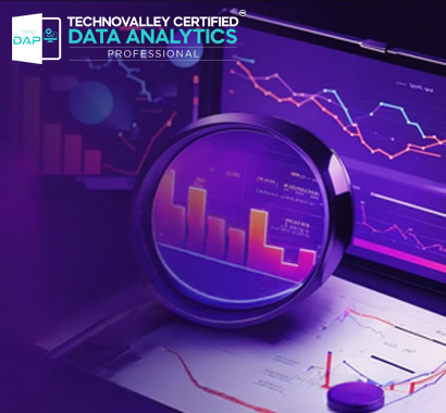 Data Analytics Professional