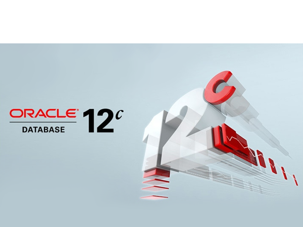 Oracle proffesional